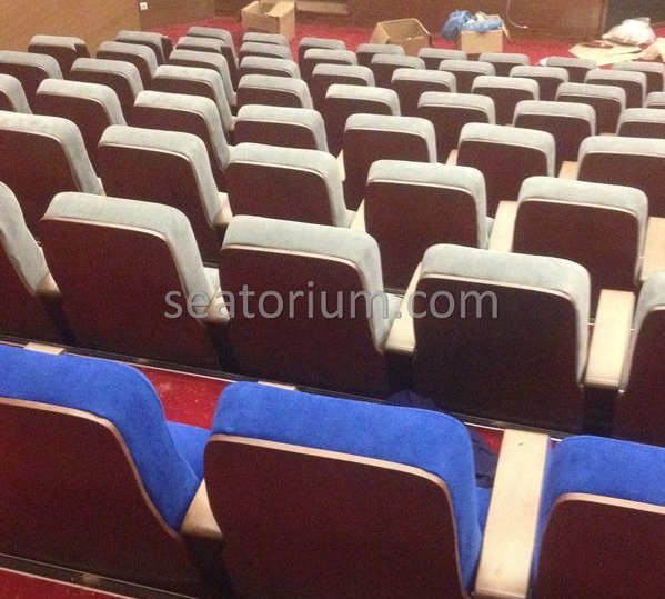 İstanbul Özyeğin University VIP Auditorium Chairs - Seatorium™'s Auditorium