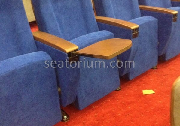 İstanbul Özyeğin University VIP Auditorium Chairs - Seatorium™'s Auditorium