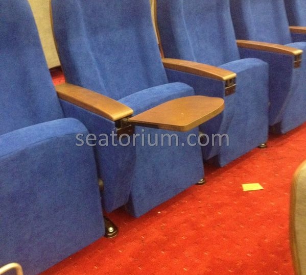 İstanbul Özyeğin University VIP Auditorium Chairs - Seatorium™'s Auditorium