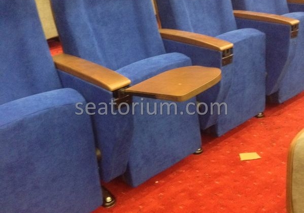 İstanbul Özyeğin University VIP Auditorium Chairs - Seatorium™'s Auditorium