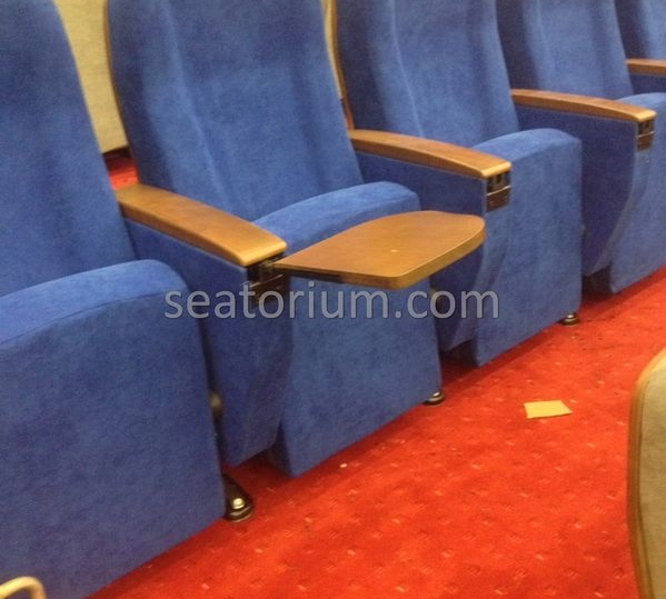 İstanbul Özyeğin University VIP Auditorium Chairs - Seatorium™'s Auditorium