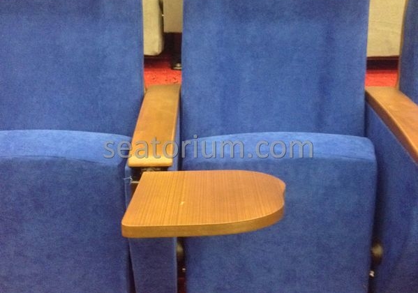 İstanbul Özyeğin University VIP Auditorium Chairs - Seatorium™'s Auditorium