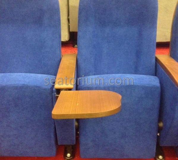 İstanbul Özyeğin University VIP Auditorium Chairs - Seatorium™'s Auditorium