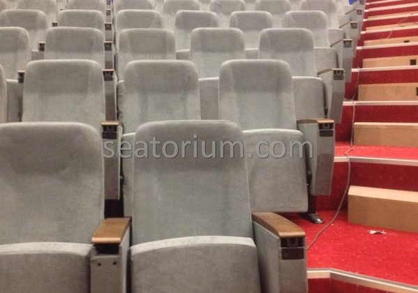 İstanbul Özyeğin University VIP Auditorium Chairs - Seatorium™'s Auditorium