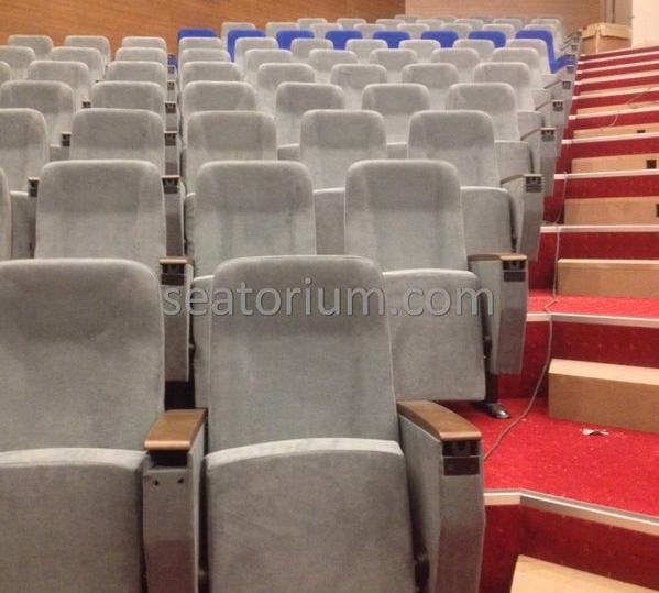 İstanbul Özyeğin University VIP Auditorium Chairs - Seatorium™'s Auditorium