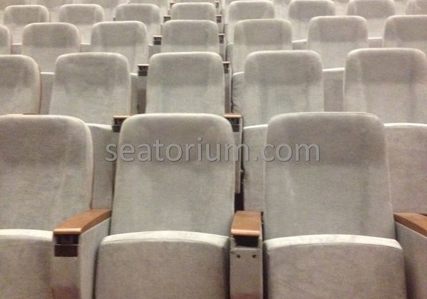 İstanbul Özyeğin University VIP Auditorium Chairs - Seatorium™'s Auditorium