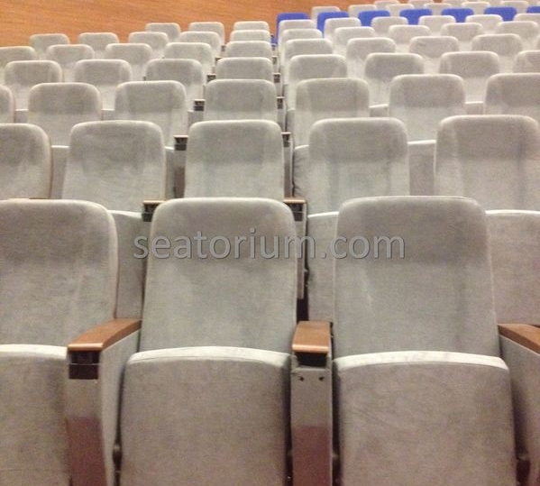 İstanbul Özyeğin University VIP Auditorium Chairs - Seatorium™'s Auditorium