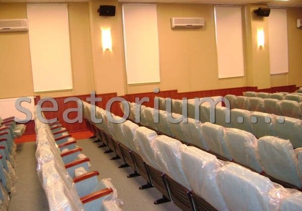 İznik State Water Administration Auditorium Chairs - Seatorium™'s Auditorium