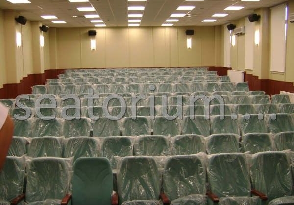 İznik State Water Administration Auditorium Chairs - Seatorium™'s Auditorium