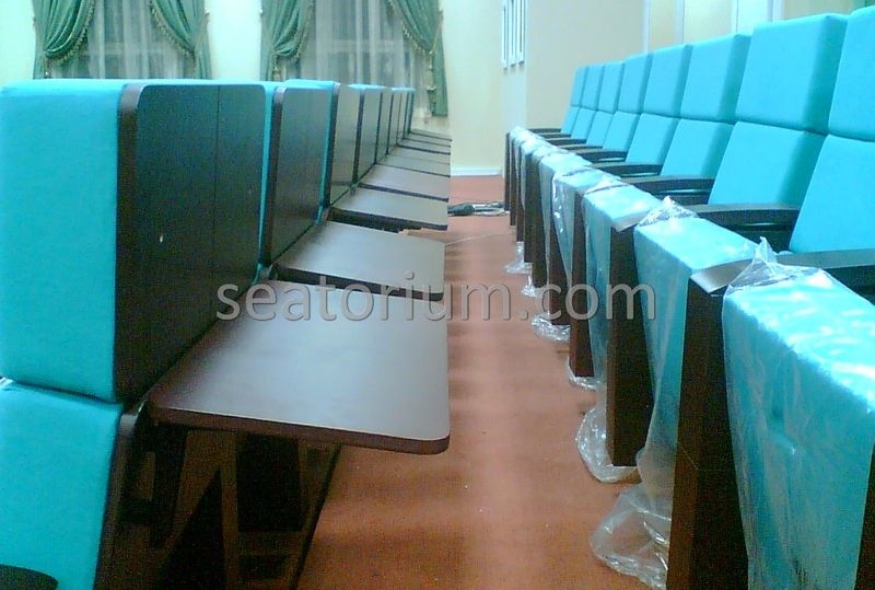 Kağıthane Municipality Auditorium Chairs Project - Seatorium™'s Auditorium