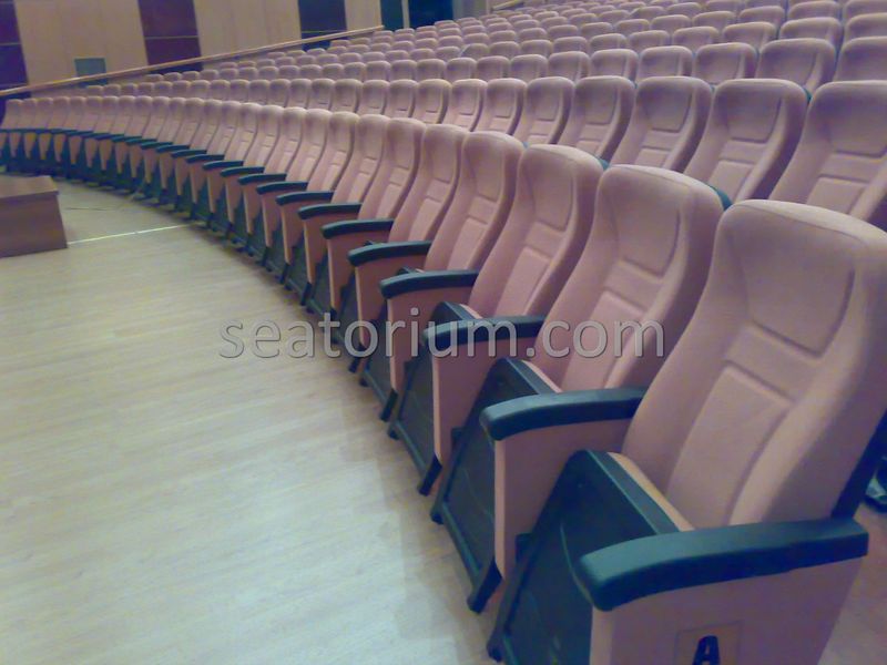 Kahramanmaraş Municipality Auditorium Chairs - Seatorium™'s Auditorium