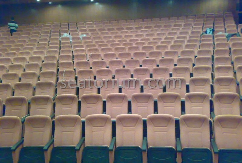 Kahramanmaraş Municipality Auditorium Chairs - Seatorium™'s Auditorium