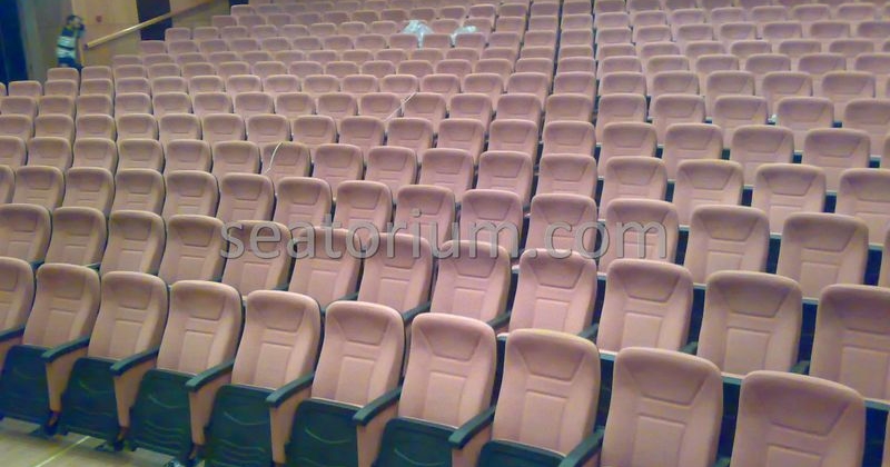 Kahramanmaraş Municipality Auditorium Chairs - Seatorium™'s Auditorium