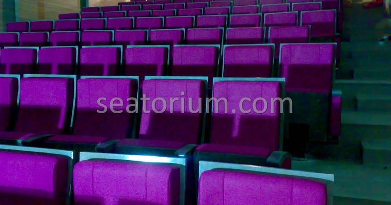 Karamürsel Municipality Wedding Hall Project - Seatorium™'s Auditorium