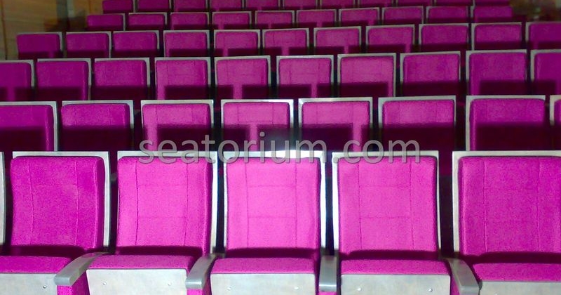 Karamürsel Municipality Wedding Hall Project - Seatorium™'s Auditorium