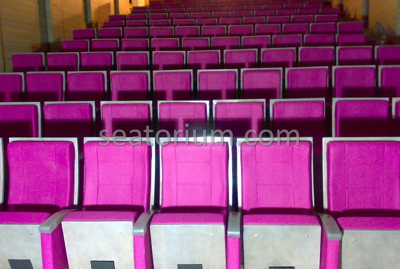 Karamürsel Municipality Wedding Hall Project - Seatorium™'s Auditorium