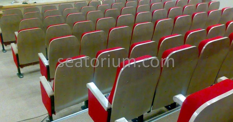 Kocaeli Auditorium Chairs Installation - Seatorium™'s Auditorium