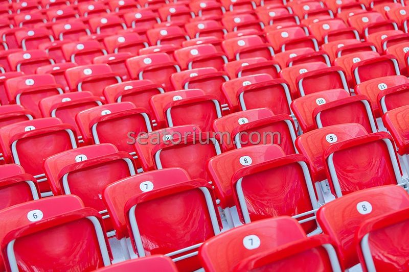 Mersin Stadium Arena Chairs Project - Seatorium™'s Auditorium