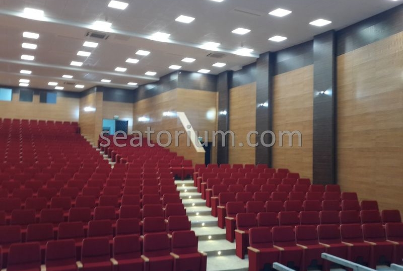 Rize Recep T. Erdoğan University Auditorium Hall - Seatorium™'s Auditorium