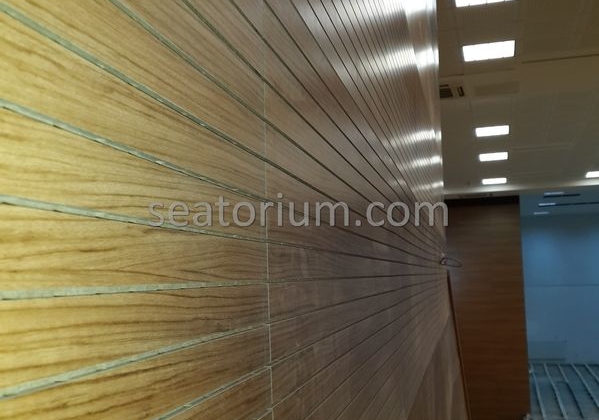 Rize Recep T. Erdoğan University Auditorium Hall - Seatorium™'s Auditorium