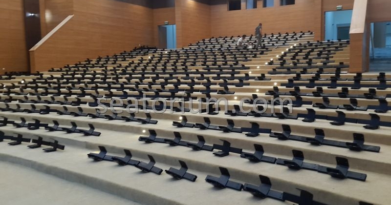 Rize Recep T. Erdoğan University Auditorium Hall - Seatorium™'s Auditorium
