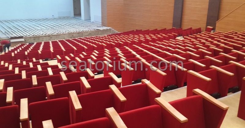 Rize Recep T. Erdoğan University Auditorium Hall - Seatorium™'s Auditorium