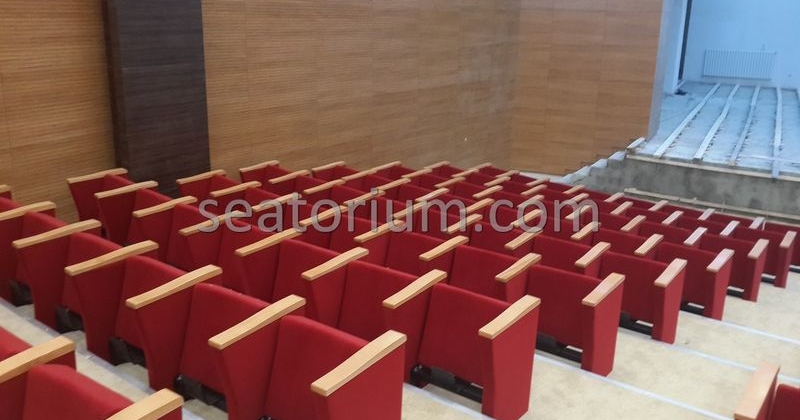 Rize Recep T. Erdoğan University Auditorium Hall - Seatorium™'s Auditorium