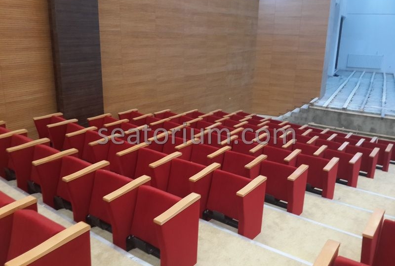 Rize Recep T. Erdoğan University Auditorium Hall - Seatorium™'s Auditorium