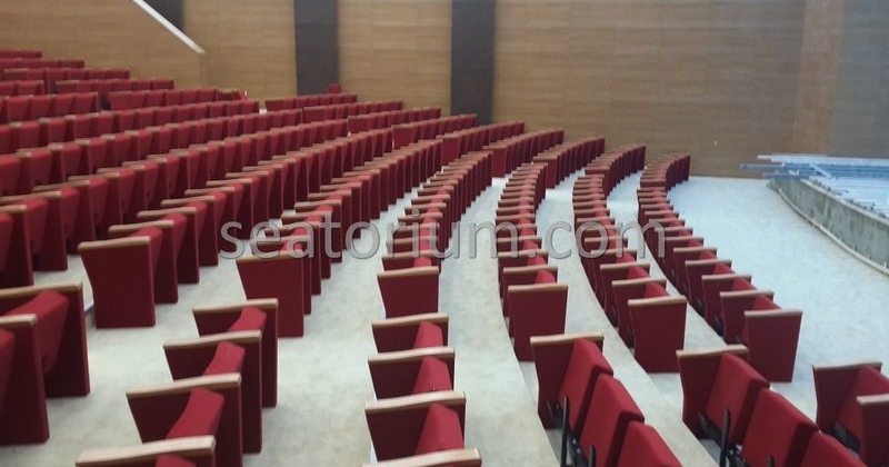 Rize Recep T. Erdoğan University Auditorium Hall - Seatorium™'s Auditorium