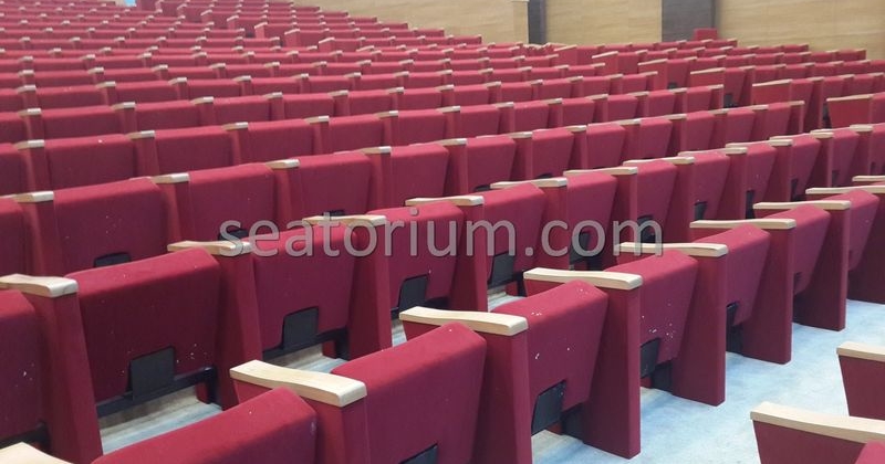 Rize Recep T. Erdoğan University Auditorium Hall - Seatorium™'s Auditorium