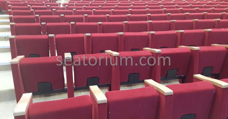 Rize Recep T. Erdoğan University Auditorium Hall - Seatorium™'s Auditorium