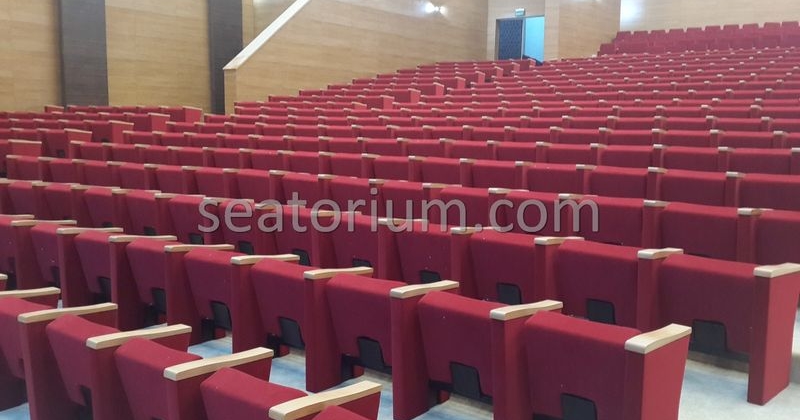 Rize Recep T. Erdoğan University Auditorium Hall - Seatorium™'s Auditorium