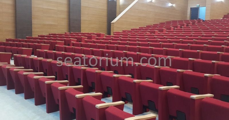 Rize Recep T. Erdoğan University Auditorium Hall - Seatorium™'s Auditorium