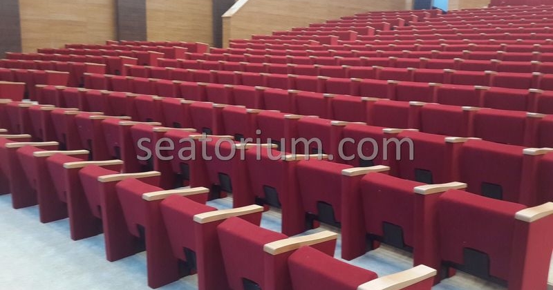 Rize Recep T. Erdoğan University Auditorium Hall - Seatorium™'s Auditorium