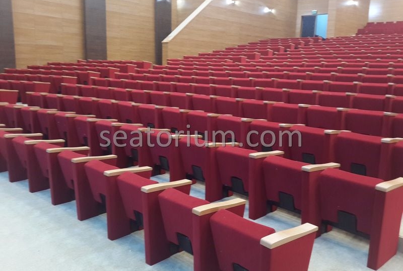 Rize Recep T. Erdoğan University Auditorium Hall - Seatorium™'s Auditorium