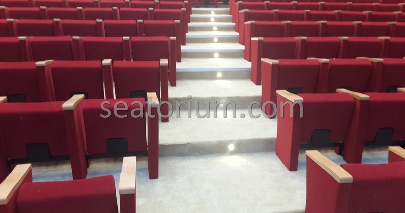 Rize Recep T. Erdoğan University Auditorium Hall - Seatorium™'s Auditorium