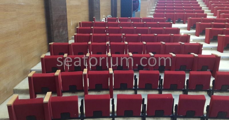 Rize Recep T. Erdoğan University Auditorium Hall - Seatorium™'s Auditorium