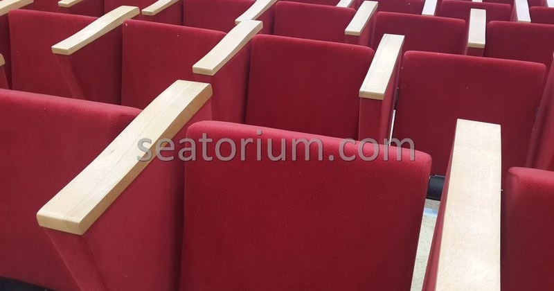 Rize Recep T. Erdoğan University Auditorium Hall - Seatorium™'s Auditorium