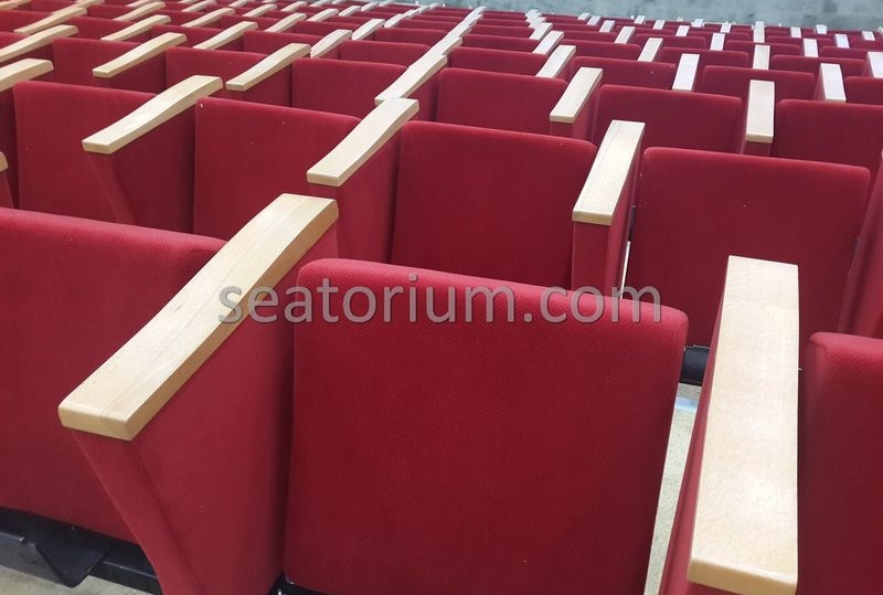 Rize Recep T. Erdoğan University Auditorium Hall - Seatorium™'s Auditorium