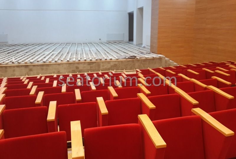 Rize Recep T. Erdoğan University Auditorium Hall - Seatorium™'s Auditorium