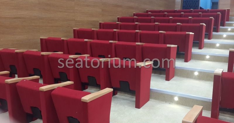 Rize Recep T. Erdoğan University Auditorium Hall - Seatorium™'s Auditorium