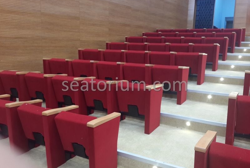 Rize Recep T. Erdoğan University Auditorium Hall - Seatorium™'s Auditorium