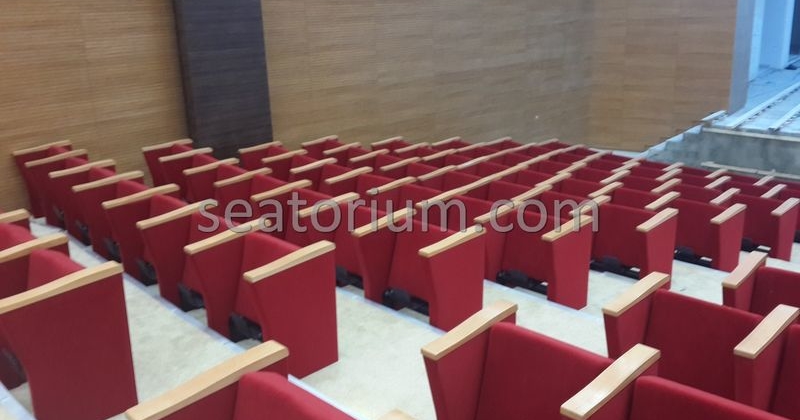 Rize Recep T. Erdoğan University Auditorium Hall - Seatorium™'s Auditorium