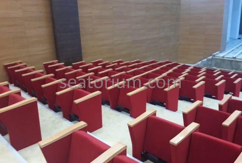 Rize Recep T. Erdoğan University Auditorium Hall - Seatorium™'s Auditorium