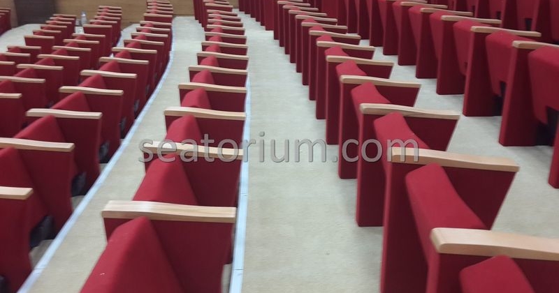 Rize Recep T. Erdoğan University Auditorium Hall - Seatorium™'s Auditorium