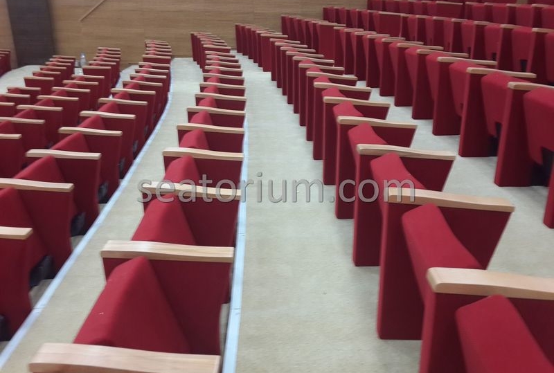 Rize Recep T. Erdoğan University Auditorium Hall - Seatorium™'s Auditorium