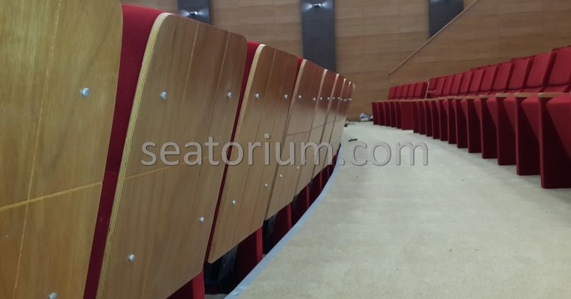 Rize Recep T. Erdoğan University Auditorium Hall - Seatorium™'s Auditorium