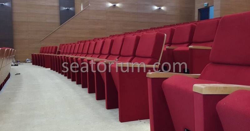 Rize Recep T. Erdoğan University Auditorium Hall - Seatorium™'s Auditorium