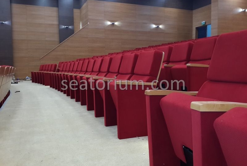 Rize Recep T. Erdoğan University Auditorium Hall - Seatorium™'s Auditorium