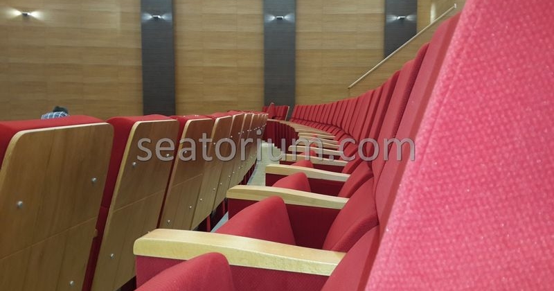 Rize Recep T. Erdoğan University Auditorium Hall - Seatorium™'s Auditorium